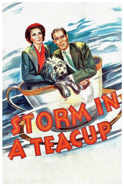 Storm in a Teacup 1937 official movie poster