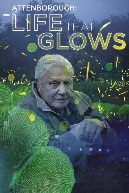 Attenborough's Life That Glows 2016 official movie poster
