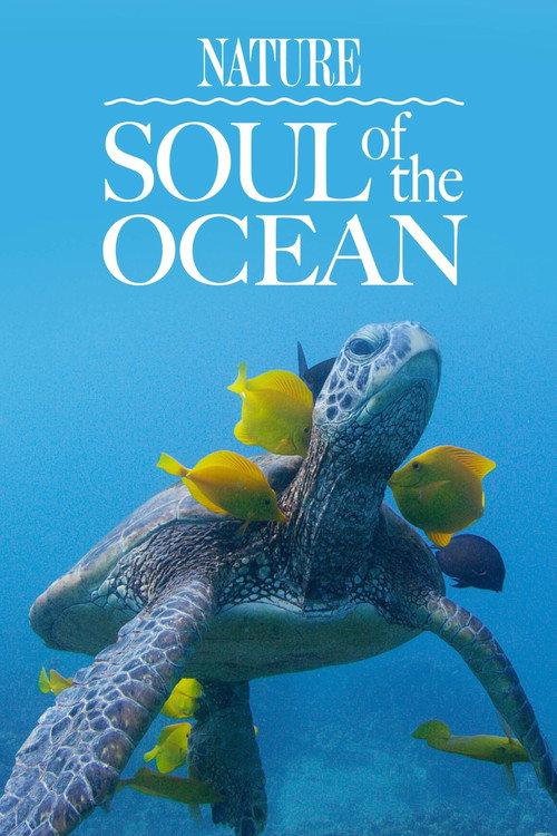 Soul of the Ocean 2022 official movie poster