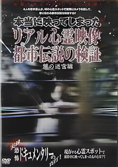 Investigation of Real Supernatural Footage and Urban Legends: Labyrinth of Darkness Edition 2008 official movie poster