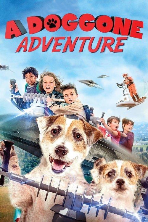 A Doggone Adventure 2018 official movie poster