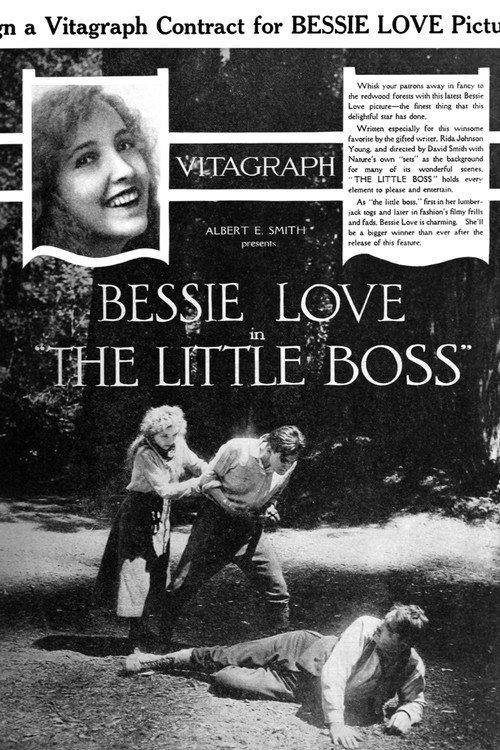 The Little Boss 1919 official movie poster