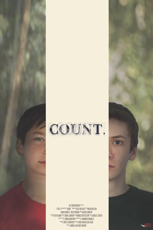Count. 2019 official movie poster