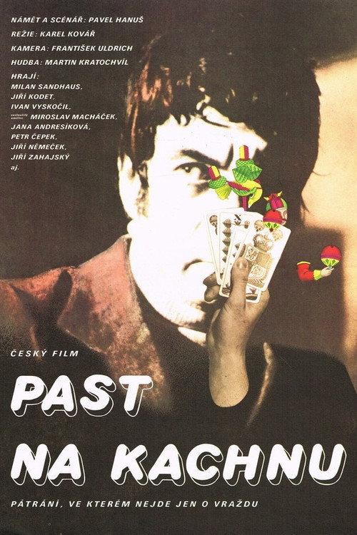 Past na kachnu 1978 official movie poster