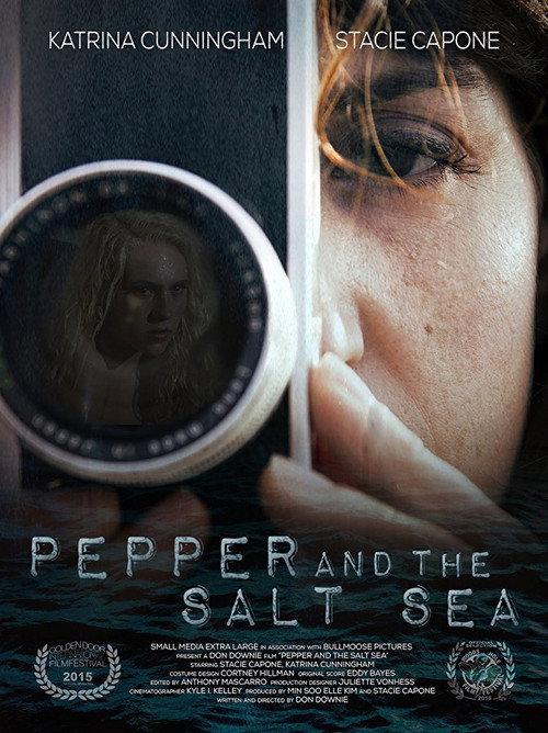 Pepper and the Salt Sea 2015 official movie poster