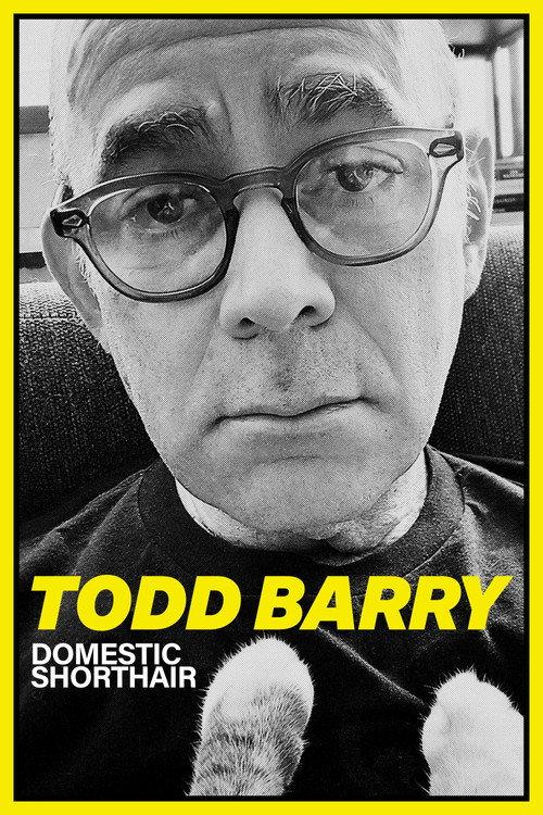 Todd Barry: Domestic Shorthair 2023 official movie poster