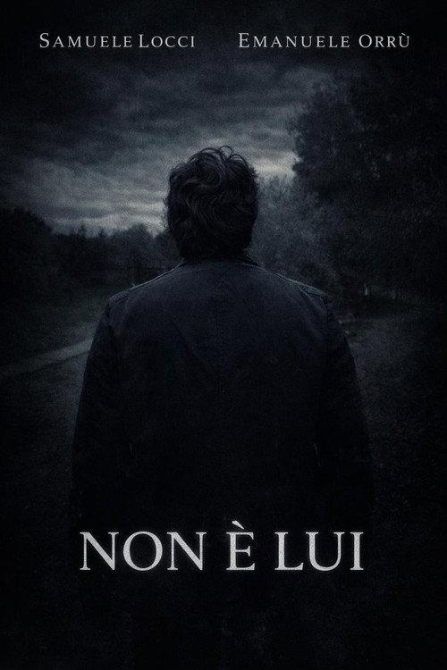 Non è lui 2026 official movie poster