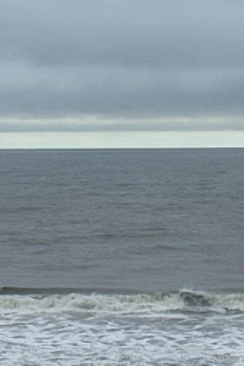 Atlantic Views 1-15 2024 official movie poster