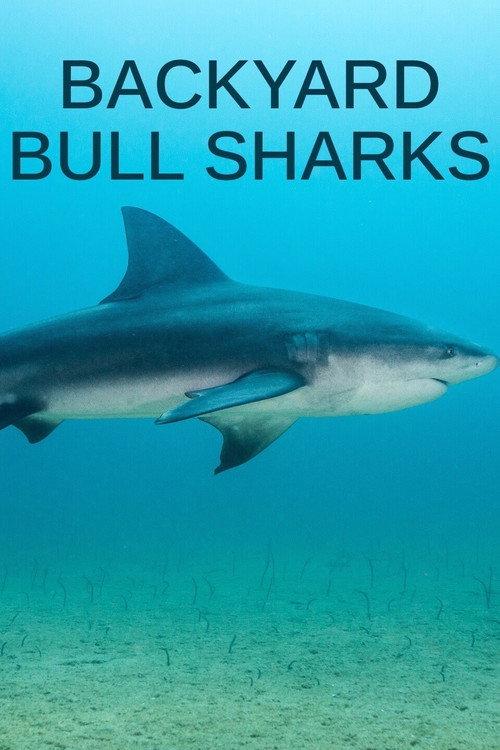 Backyard Bull Sharks 2022 official movie poster