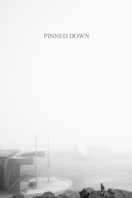 Pinned Down 2027 official movie poster