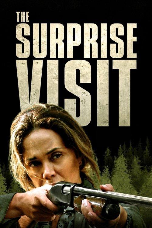 The Surprise Visit 2022 official movie poster