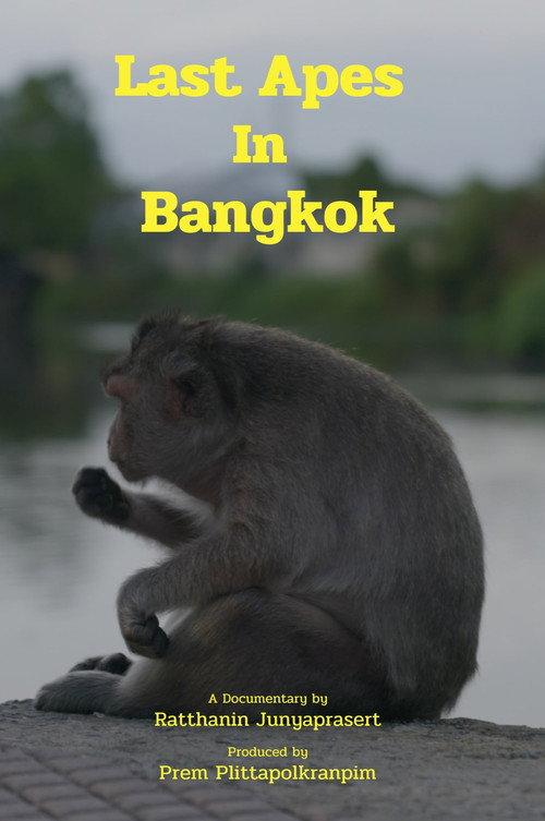 Last Apes In Bangkok official movie poster