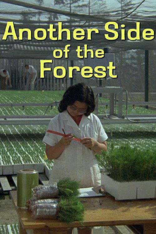 Another Side of the Forest 1974 official movie poster