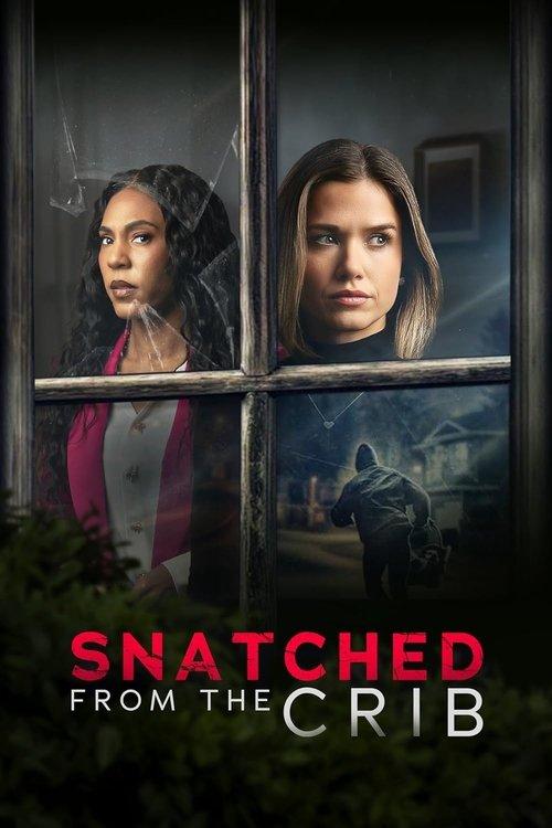 Snatched From The Crib 2025 official movie poster