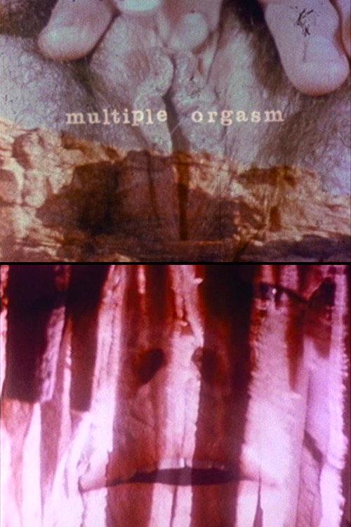 Multiple Orgasm 1976 official movie poster