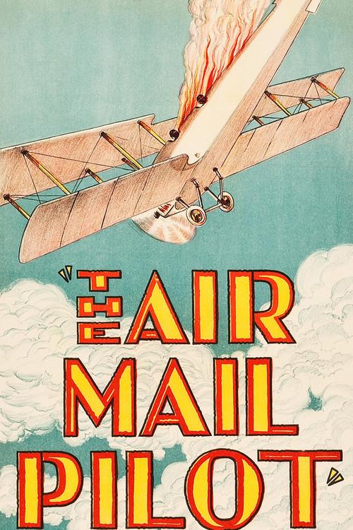 The Air Mail Pilot 1928 official movie poster