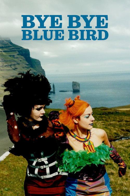 Bye Bye Blue Bird 1999 official movie poster