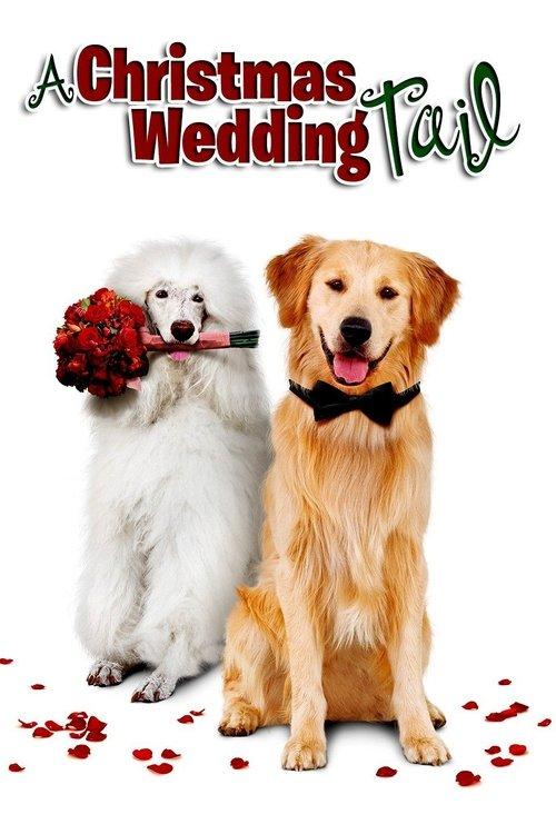 A Christmas Wedding Tail 2011 official movie poster