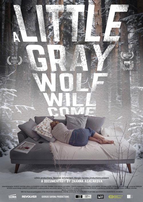 A Little Gray Wolf Will Come 2025 official movie poster
