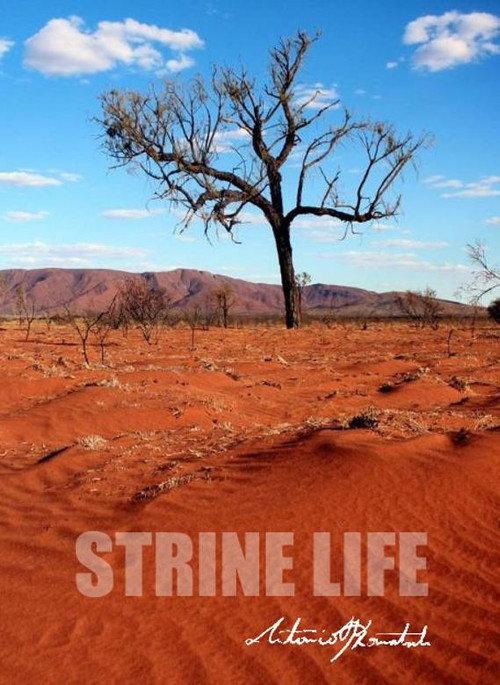 Strine Life 2016 official movie poster