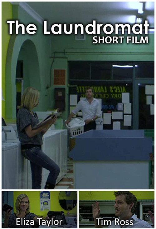 The Laundromat 2010 official movie poster