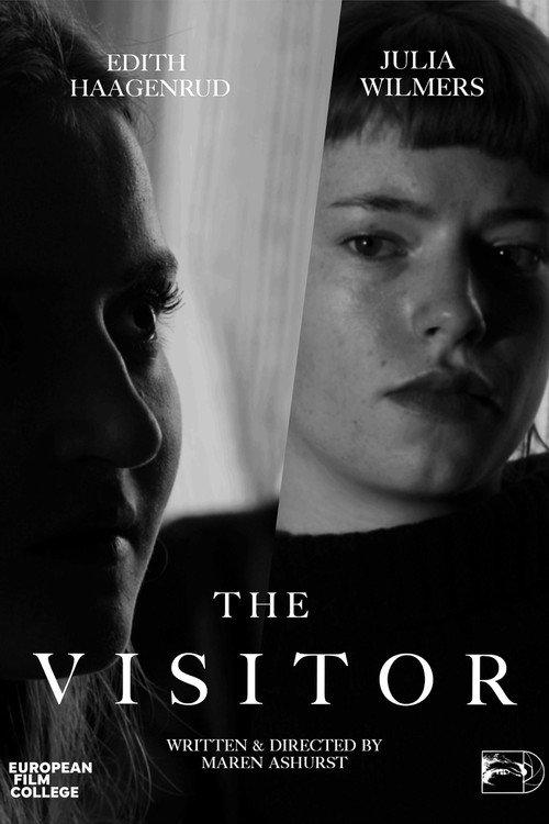The Visitor 2025 official movie poster