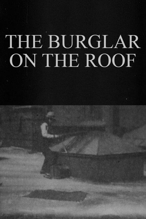 The Burglar on the Roof 1898 official movie poster