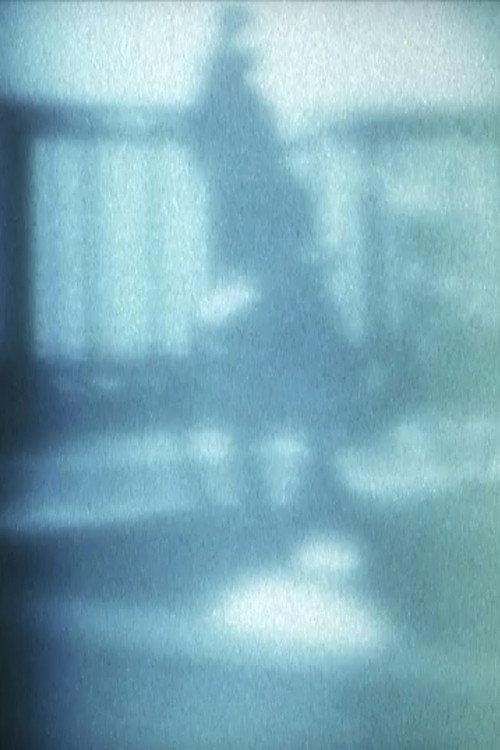 Quiet Ghost 2011 official movie poster