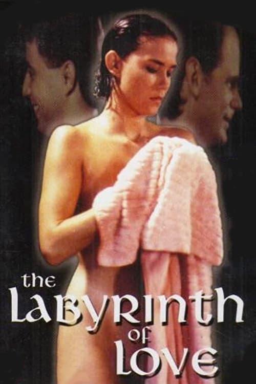 The Labyrinth of Love 1994 official movie poster