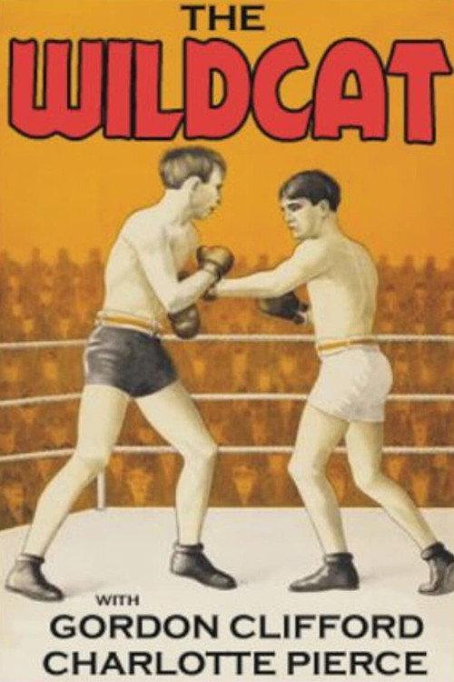 The Wildcat 1925 official movie poster