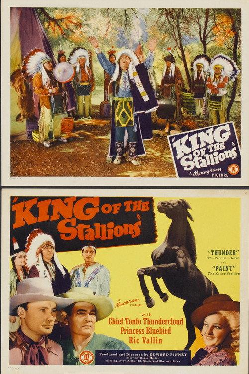 King of the Stallions 1942 official movie poster