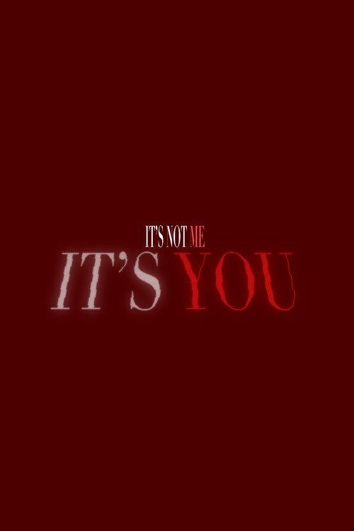 It's Not Me, It's You 2025 official movie poster