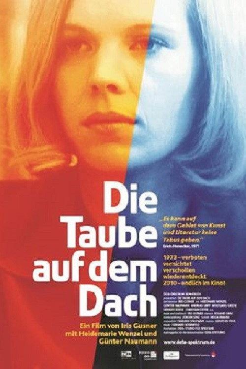 The Dove on the Roof 1990 official movie poster