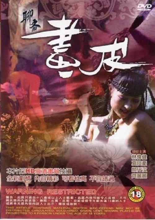 The Ghost Story: Printskin 2009 official movie poster