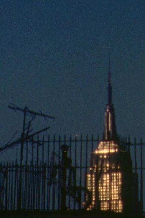 Untitled (Light) 2002 official movie poster