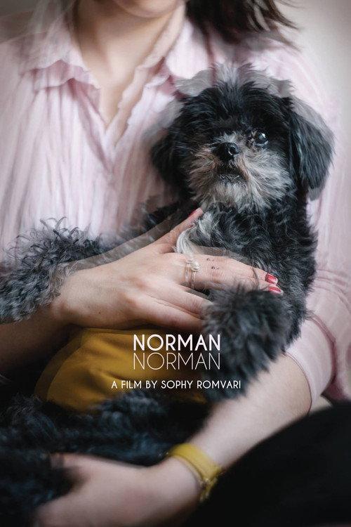 Norman Norman 2018 official movie poster