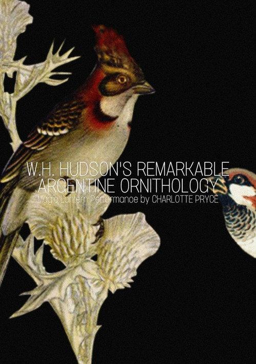 W.H. Hudson’s Remarkable Argentine Ornithology 2013 official movie poster