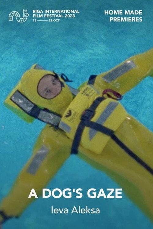 Dog's Gaze 2023 official movie poster