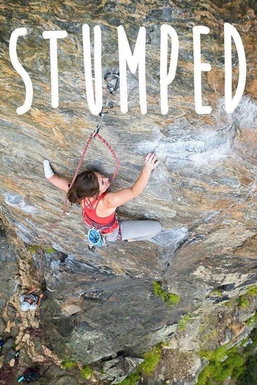 Stumped 2018 official movie poster