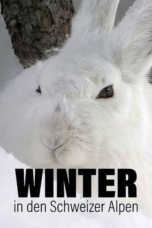 Winter in the Swiss Alps 2022 official movie poster