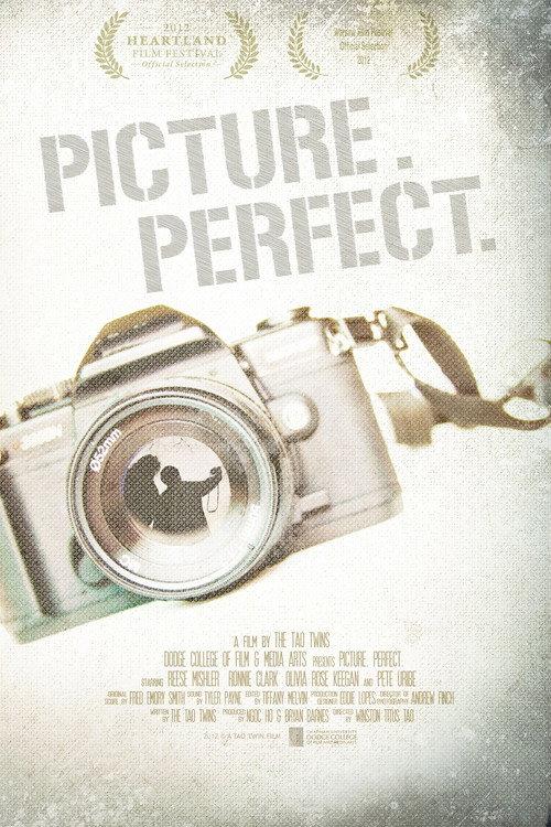 Picture. Perfect. 2012 official movie poster