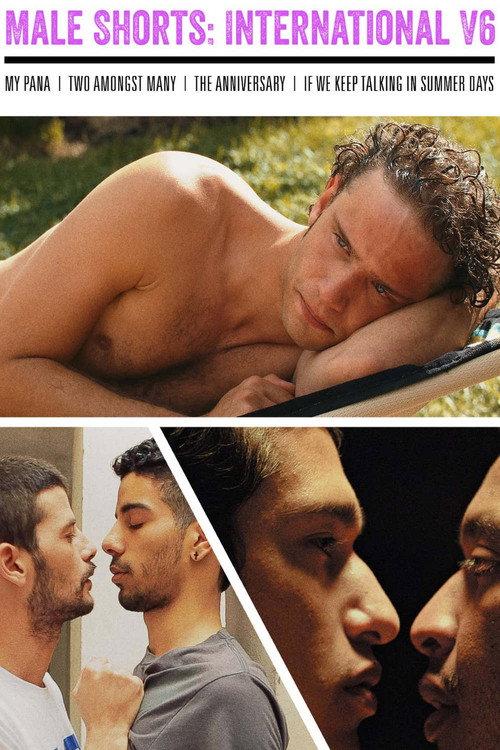 Male Shorts: International V6 2023 official movie poster