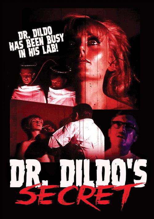 Dr. Dildo's Secret 1970 official movie poster