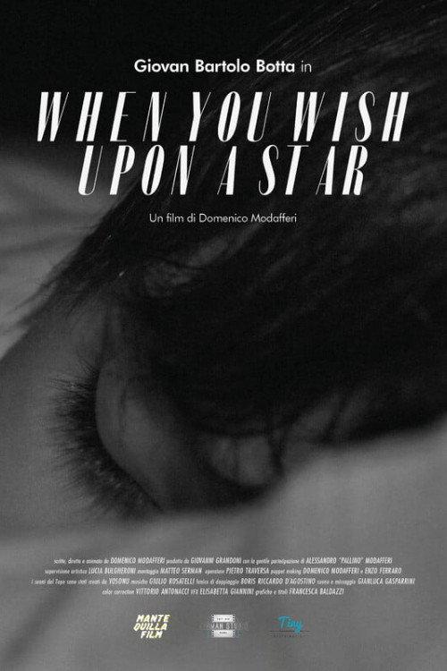 When You Wish Upon a Star 2022 official movie poster