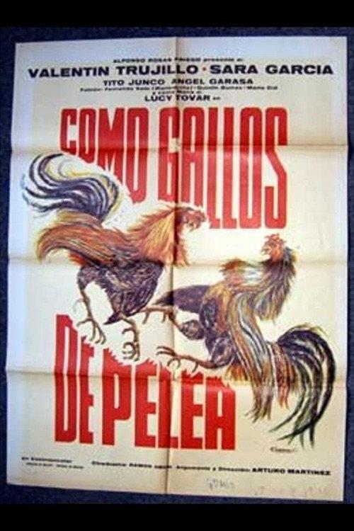 Como gallos de pelea 1977 official movie poster