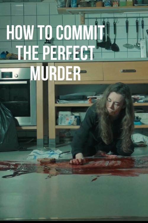 How to commit the perfect murder 2025 official movie poster