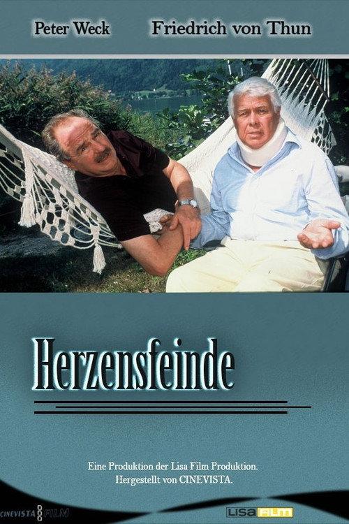 Herzensfeinde 2001 official movie poster