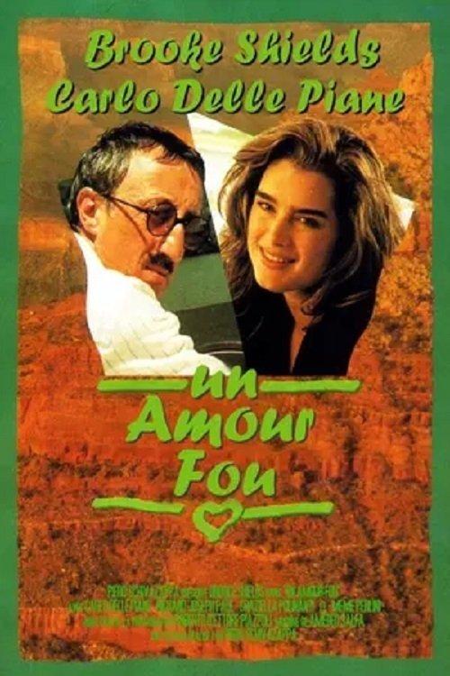 An American Love 1994 official movie poster