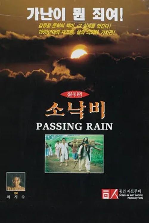 Passing Rain 1995 official movie poster