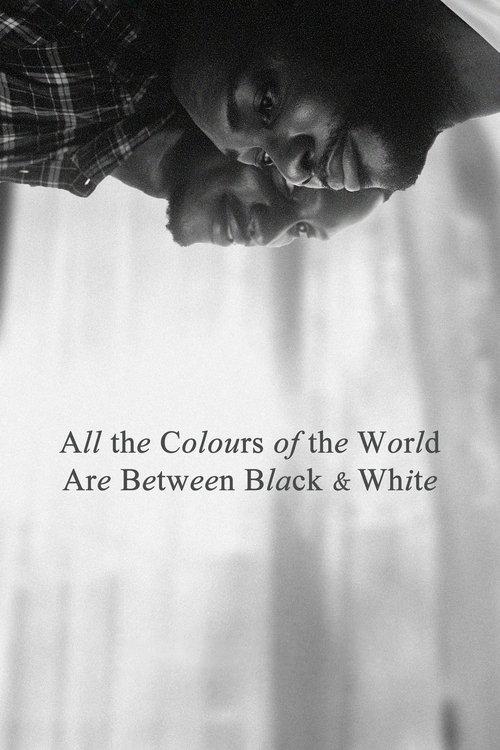 All the Colours of the World Are Between Black and White 2023 official movie poster